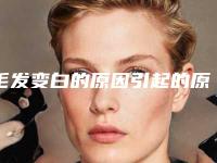 毛发变白的原因引起的原因毛发上有白是什么原因