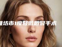 潍坊市1度轻微唇裂手术医院排行前十位热门综合发布-潍坊博雅医学整形美容研究所必当实力上榜