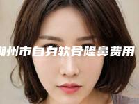 潮州市自身软骨隆鼻费用表明细靠谱来袭-潮州市自身软骨隆鼻均价为42011元