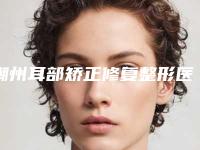 潮州耳部矫正修复整形医院综合实力前十位口碑排名都是哪些医院！潮州星颜科医疗美容是知名度高口碑好的