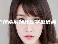 泸州紫荆杨氏医学整形美容医院价位表价钱公布附玻尿酸注射式隆鼻头手术案例