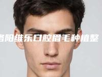 洛阳维乐口腔眉毛种植整形一般什么价格