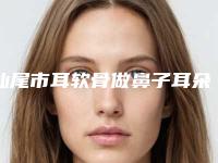 汕尾市耳软骨做鼻子耳朵价格(收费标准)2025在线获取-汕尾市耳软骨做鼻子耳朵整形手术费用