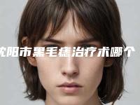 沈阳市黑毛痣治疗术哪个整形医院比较好(沈阳韩缘聚美医疗美容评价不吭)