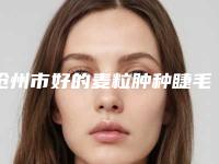 沧州市好的麦粒肿种睫毛机构-沧州市中心医院整形科技术优势出炉