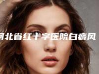 河北省红十字医院白癜风诊疗中心价格(价目)表新版本附去眼部皱纹案例