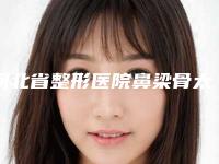河北省整形医院鼻梁骨太宽做矫正推荐：鼻梁骨太宽做矫正医院前30强2025榜单新出炉