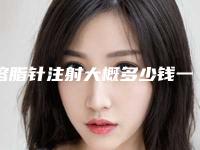 溶脂针注射大概多少钱一支?专家医生+溶脂针医院推荐