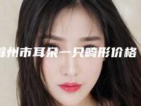 滁州市耳朵一只畸形价格表2025详细曝光-滁州市耳朵一只畸形整形手术费用多少钱呢
