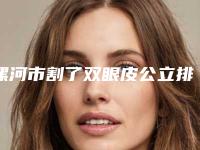 漯河市割了双眼皮公立排行榜前五强敲定-漯河市割了双眼皮整形医院