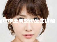 深圳市王航整形医生价格(价目)表怎么样