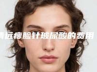 清远瘦脸针玻尿酸的费用大约是多少