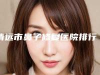 清远市鼻子修复医院排行前十位都是好口碑医-清远市鼻子修复整形医院