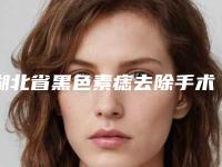 湖北省黑色素痣去除手术医院在榜名单前十专家资深点评-湖北省黑色素痣去除手术整形医院