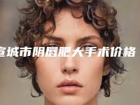 宣城市阴唇肥大手术价格(费用)清单全新版强势上线-近8个月均价为9606元