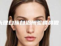 大理白族自治州驼峰鼻做线雕价格表口碑刷爆朋友圈-大理白族自治州驼峰鼻做线雕手术大概需多少钱