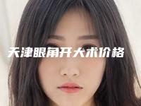 天津眼角开大术价格