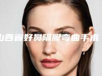 山西省好鼻隔膜弯曲手术机构推荐:鼻隔膜弯曲手术医院前30位更新