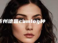 忻州德国camlog种植牙的手术价格及优势