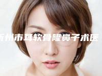 忻州市耳软骨隆鼻子术医生排行榜前十位信息一览-忻州市赵海明整形医生带给大家全新的选择和体验
