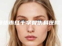 廊坊市红十字骨伤科医院与廊坊臻爱易容医疗美容诊所哪位专家更厉害