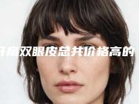 开扇双眼皮总共价格高的理由 受哪些因素的影响