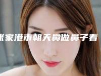 张家港市朝天鼻做鼻子看医生排行综合实力前十强实力雄厚-张家港市程立新整形医生