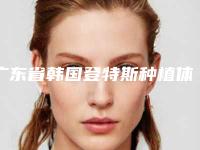 广东省韩国登特斯种植体医院排行榜top10预测(番禺栋梁口腔专科门诊部谁领衔榜首)