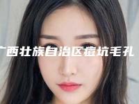广西壮族自治区痘坑毛孔粗大激光修复医院上榜清单top10正式上线（广西壮族自治区痘坑毛孔粗大激光修复整形医院）