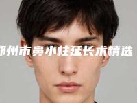 郑州市鼻小柱延长术精选8个人气医院信息公布(郑州市鼻小柱延长术性价比高口碑好的整形医院)