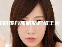 邵阳市自体脂肪移植丰臀整形医院排行榜十强抢先了解(邵阳宸美医疗美容门诊部同台竞技争高下)