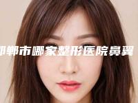 邯郸市哪家整形医院鼻翼缩小术治疗鼻头肥大好(邯郸雅丽医疗美容门诊部实力不容小觑)