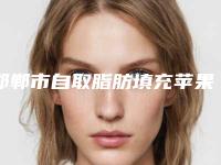 邯郸市自取脂肪填充苹果肌价格(收费标准)热门项目抢先一览-邯郸市自取脂肪填充苹果肌均价为14250元