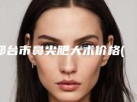 邢台市鼻尖肥大术价格(价目)表人气-邢台市鼻尖肥大术术大概要多少费用