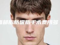 面部脂肪吸脂手术费用多少(面部脂肪吸脂手术费用多少钱)