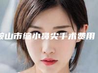 鞍山市缩小鼻尖手术费用表明细2025快来种草（鞍山市缩小鼻尖手术大概什么费用呢）