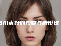 银川市好的修复耳畸形医院-银川市修复耳畸形医院在榜清单口碑技术在线