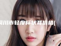 铜川市轻度杯状耳价格(费用)免费一览-铜川市轻度杯状耳在北京价格大概是多少