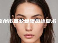 锦州市耳软骨隆鼻修复术医生排名榜获网友强赞-李游医生技术观点独特