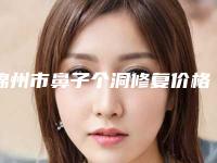 锦州市鼻子个洞修复价格价位表2025-均价鼻子个洞修复13371元