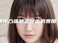 钦州凸嘴矫正牙齿的费用受到什么方面的影响