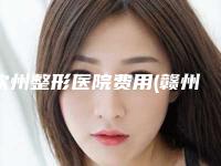 钦州整形医院费用(赣州隆鼻多少钱)