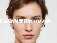 韶关微创美国KAVA种植牙手术要多少费用