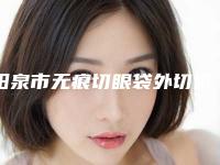 阳泉市无痕切眼袋外切价格(价目)表送上(阳泉市无痕切眼袋外切大概费用需要多少)