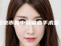 阳泉市鼻中膈偏曲手术整形医院在榜清单综合实力前十权威解读(阳泉慧春皮肤病美容诊所本地网友热捧)