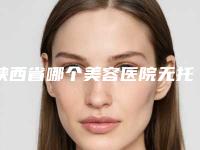 陕西省哪个美容医院无托槽隐适美好(渭南凡尔赛名雅医疗美容诊所实力很不错哦~)