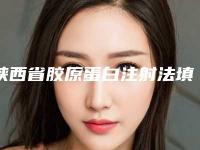 陕西省胶原蛋白注射法填充痤疮瘢痕医生排行榜top10强大洗牌-王昭彦医生2025案例欣赏