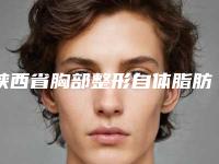 陕西省胸部整形自体脂肪丰胸医院排名榜前十实力深扒(陕西省胸部整形自体脂肪丰胸整形医院)
