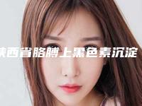 陕西省胳膊上黑色素沉淀去除价格收费表送上(陕西省胳膊上黑色素沉淀去除费用及护理事项)