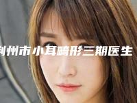 荆州市小耳畸形三期医生排名榜前十强信息一览-罗中华医生专业靠谱有实力